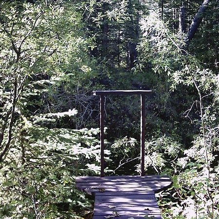 Redwood Meadows Bed And Breakfast Bragg Creek Exteriör bild